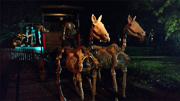 Horses added to the Scare Zone in October. Photo: B. Miskin