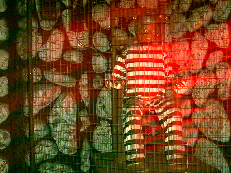 'Sparky' in the electric chair, 2007. Photo: B. Miskin