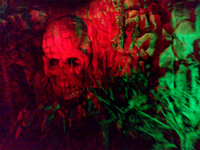 Another view of the skull pond in 2018. Photo: B. Miskin