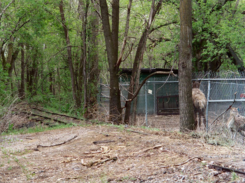 Tracks passing animal pens near Pioneer Pavilion, 2002. Photo: B. Miskin