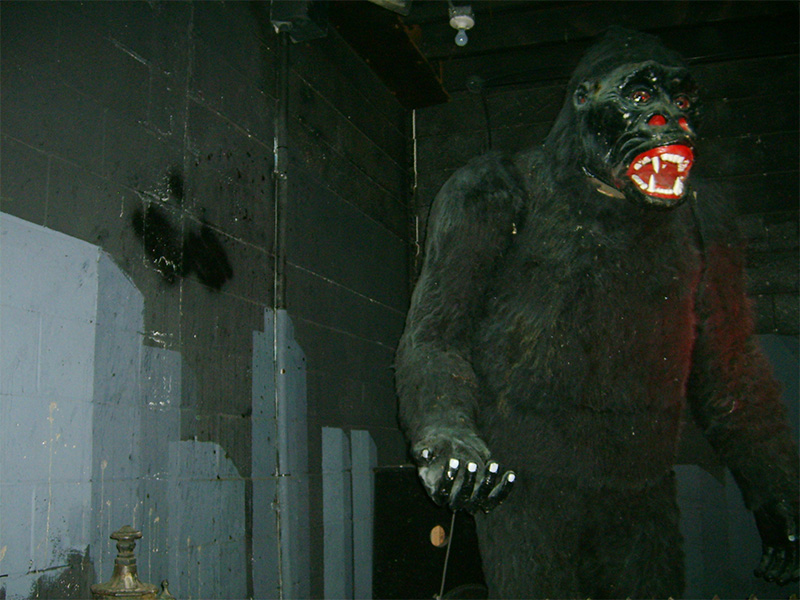 'George' playing King Kong at the end of the ride in 2007. Photo: B. Miskin
