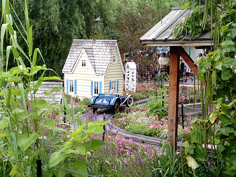 Speedway, Jr. in 2016. Photo: B. Miskin