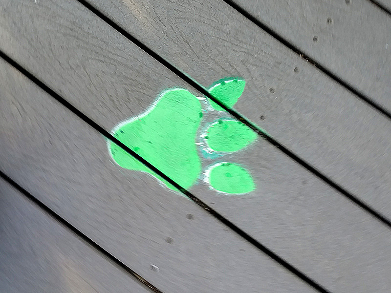 Dragon footprints lead riders to the exit. Photo: B. Miskin