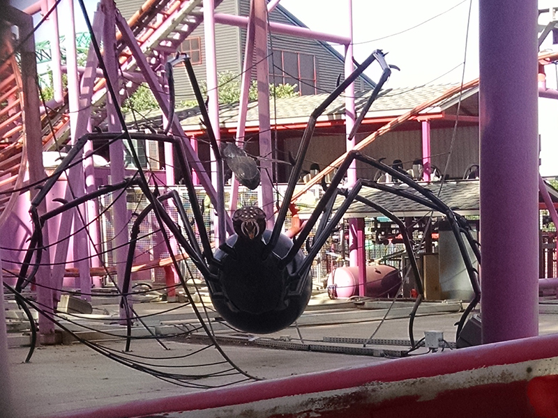 Large spider with a fly in its web in the middle of the ride. Photo: B. Miskin