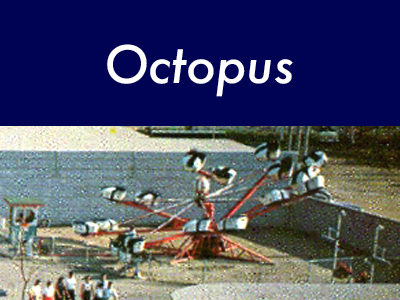 Octopus