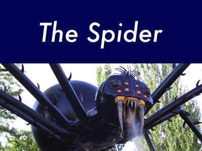 The Spider