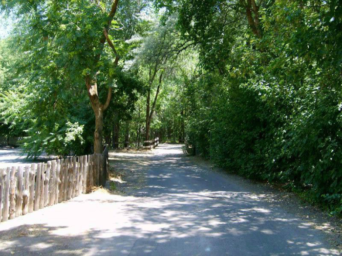 The Stagecoach ride path heading toward Rattlesnake Rapids. Photo: B. Miskin