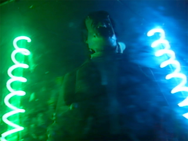 Frankenstein's monster in 2007. Photo: B. Miskin