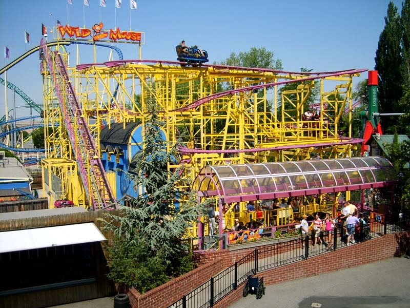 Wild Mouse in 2007. Photo: B. Miskin
