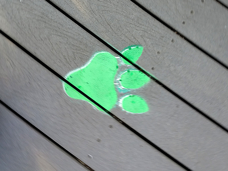 Dragon footprints lead riders to the exit. Photo: B. Miskin