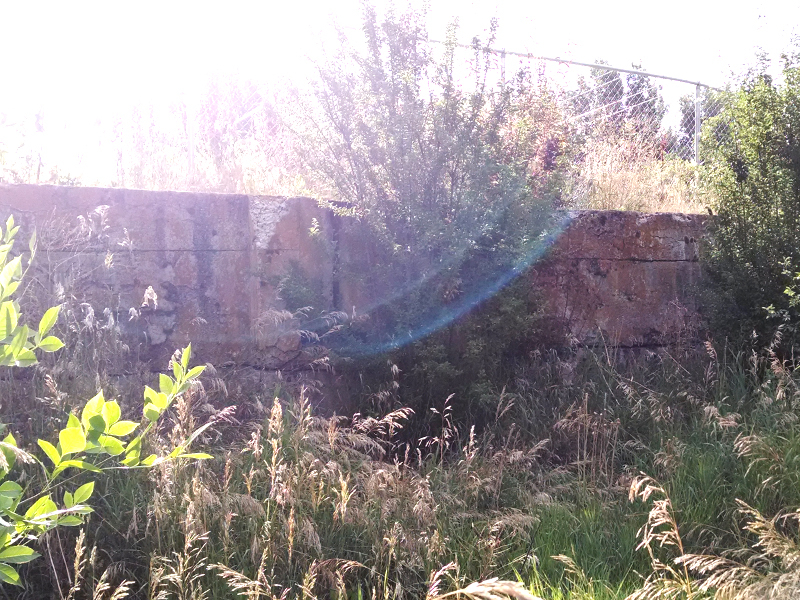 This retaining wall visible on the south end of the trail is from the Bamberger Railroad that used to be the primary source of transportation to the park in Lagoon's early days. Photo: B. Miskin