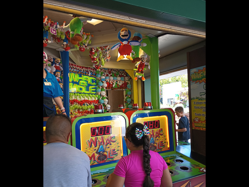 Wac-A-Mole, 2023. Photo: B. Miskin