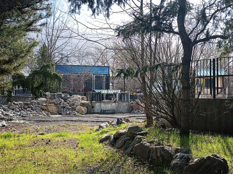 Cliffhanger's former location as seen from the west in March 2025. Photo: B. Miskin